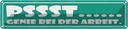 Blechschild 10x46 cm PSSST Genir bei der Arbeit Dekoration Spruch Zitat