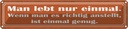 Blechschild 10x46 cm man lebt nur einmal ist genug Dekoration Spruch Zitat