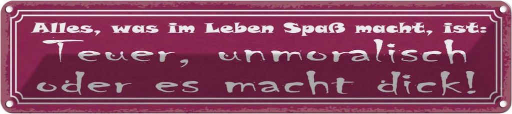 Blechschild 10x46 cm alles was Spaß teuer unmoralisch Spruch Zitat