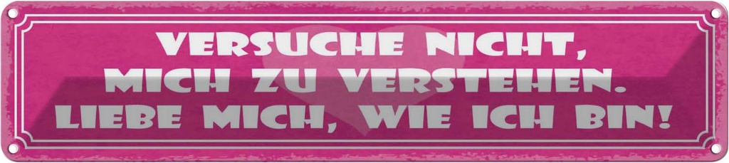 Blechschild 10x46 cm versuche nicht mich zu verstehen Spruch Zitat