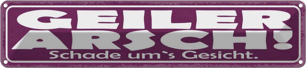 Blechschild 10x46 cm Geiler Arsch Schade um`s Gesicht Spruch Zitat