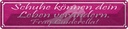 Blechschild 10x46 cm frag Cinderella Schuhe verändern Spruch Zitat