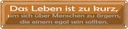 Blechschild 10x46 cm Leben zu kurz um sich ärgern Spruch Zitat