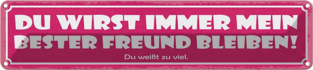 Blechschild 10x46 cm Du wirst bester Freund bleiben! Spruch Zitat
