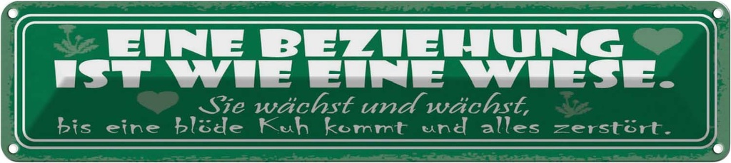 Blechschild 10x46 cm Eine Beziehung ist wie Wiese Spruch Zitat