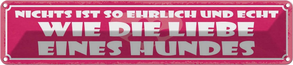 Blechschild 10x46 cm Nichts ist so ehrlich und echt Spruch Zitat