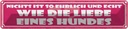 Blechschild 10x46 cm Nichts ist so ehrlich und echt Spruch Zitat