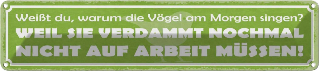 Blechschild 10x46 cm Warum die Vögel an Morgen singen Spruch Zitat