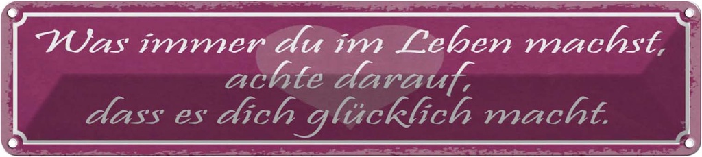 Blechschild 10x46 cm Was immer du im Leben machst Spruch Zitat