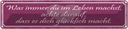 Blechschild 10x46 cm Was immer du im Leben machst Spruch Zitat