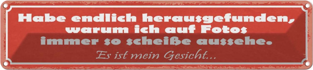 Blechschild 10x46 cm Habe endlich herausgefunden, warum Spruch Zitat