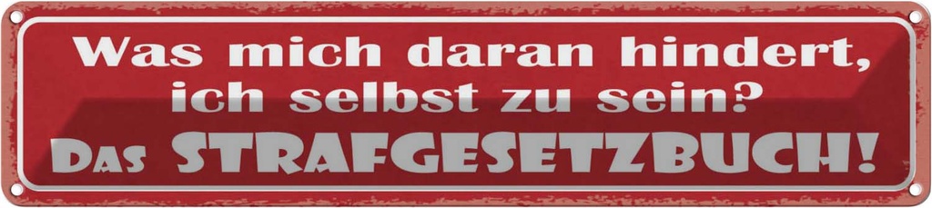 Blechschild 10x46 cm Was mich daran hindert, ich selbst Spruch Zitat