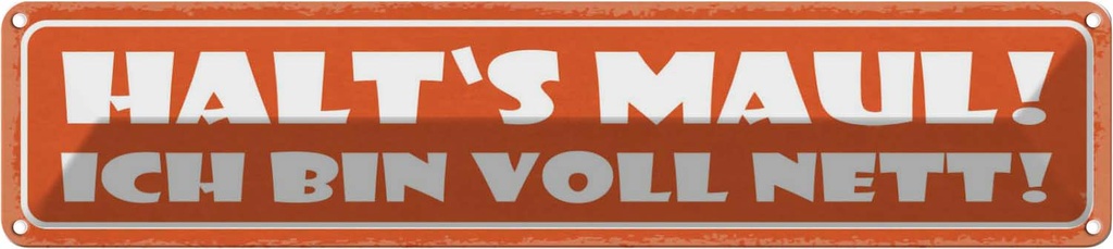 Blechschild 10x46 cm halt`s Maul ich bin voll nett Spruch Zitat