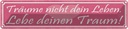 Blechschild 10x46 cm träume nicht dein Leben lebe Spruch Zitat