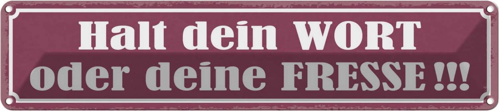 Blechschild 10x46 cm Halt dein Wort oder deine Fresse Spruch Zitat