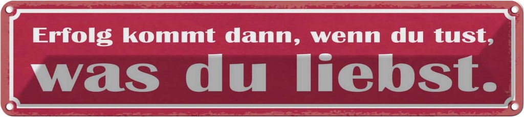 Blechschild 10x46 cm Erfolg du tust was liebst Spruch Zitat