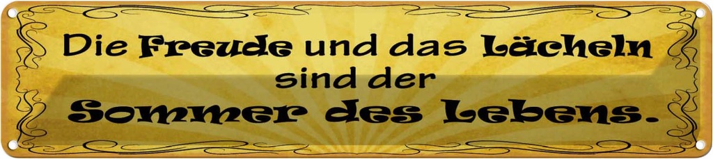 Blechschild 10x46 cm Freude Lächeln Sommer des Lebens Spruch Zitat