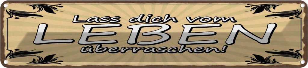 Blechschild 10x46 cm Lass dich vom Leben überraschen Spruch Zitat