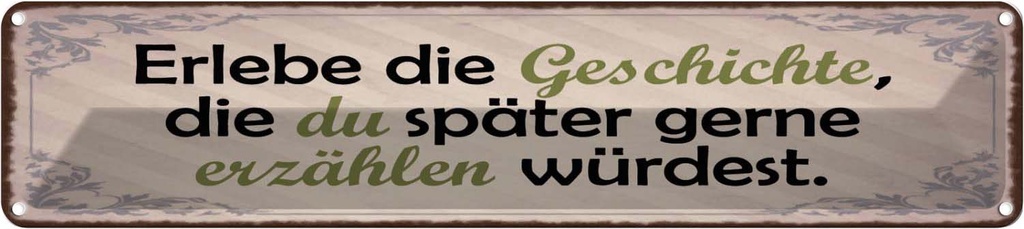 Blechschild 10x46 cm Erlebe Geschichte später erzähle Spruch Zitat