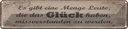 Blechschild 10x46 cm Glück missverstanden zu werden Spruch Zitat