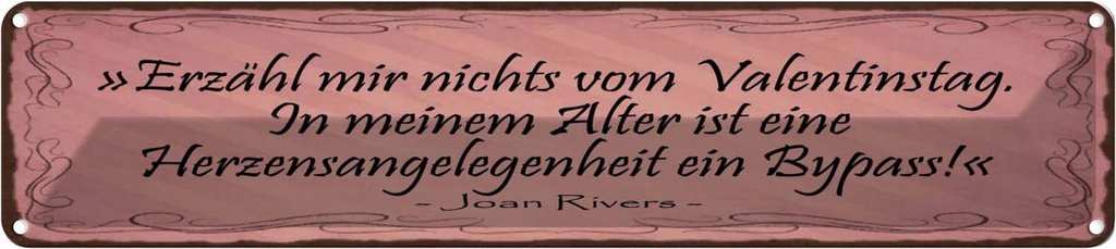 Blechschild 10x46 cm Erzähl nichts vom Valrntinstag Spruch Zitat