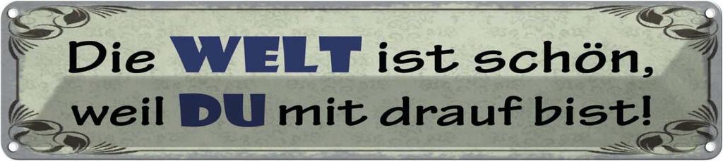 Blechschild 10x46 cm Die Welt schön weil Du mit drauf Spruch Zitat