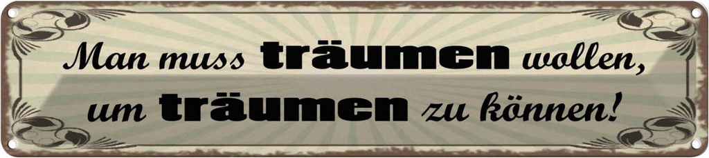 Blechschild 10x46 cm Muss träumen wollen um zu können Spruch Zitat