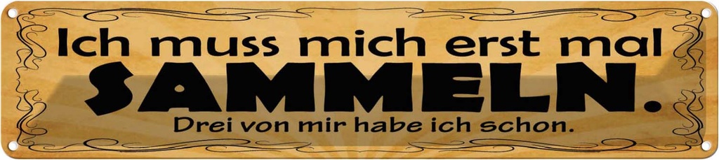 Blechschild 10x46 cm Ich muss mich erst mal sammeln Spruch Zitat