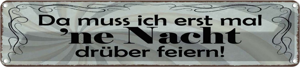 Blechschild 10x46 cm Muss erst mal Nacht drüber feiern Spruch Zitat