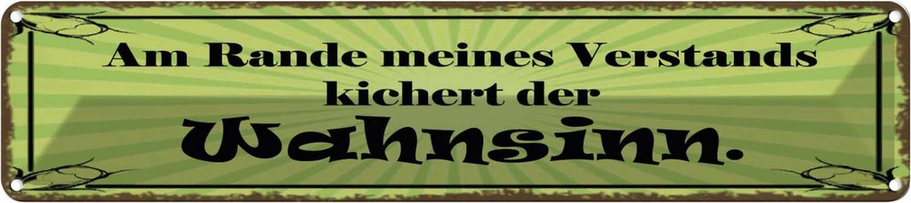 Blechschild 10x46 cm Am Rande Verstands Wahnsinn Spruch Zitat
