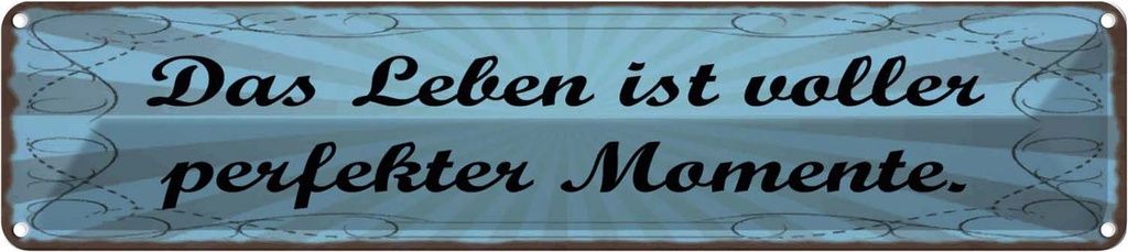 Blechschild 10x46 cm Leben voller perfekter Momente Spruch Zitat