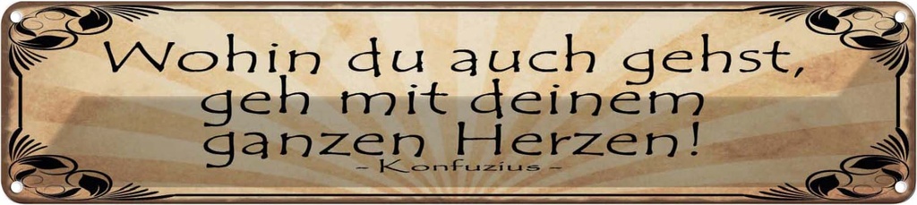 Blechschild 10x46 cm Wohin du gehst geh mit Herzen Spruch Zitat