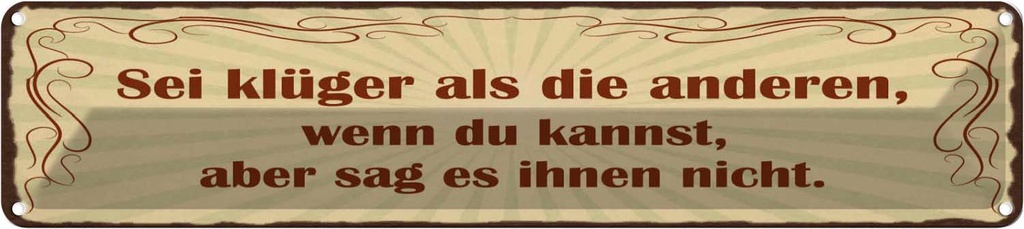 Blechschild 10x46 cm Sei klüger aber sag es nicht Spruch Zitat