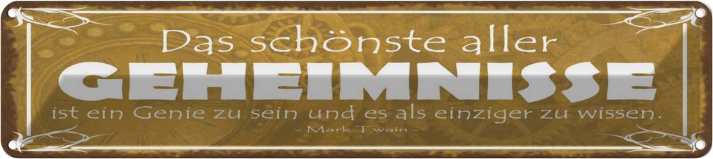 Blechschild 10x46 cm Genie sein und einzige wissen Spruch Zitat