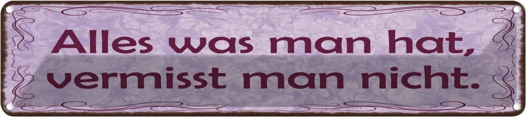 Blechschild 10x46 cm Alles was man hat vermisst nicht Spruch Zitat