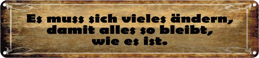 Blechschild 10x46 cm Es muss sich vieles ändern damit Spruch Zitat