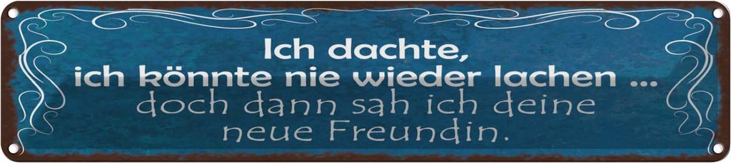 Blechschild 10x46 cm Freundin ich kann wieder lachen Spruch Zitat