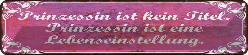 Blechschild 10x46 cm Prinzessin ist kein Titel Spruch Zitat