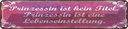 Blechschild 10x46 cm Prinzessin ist kein Titel Spruch Zitat