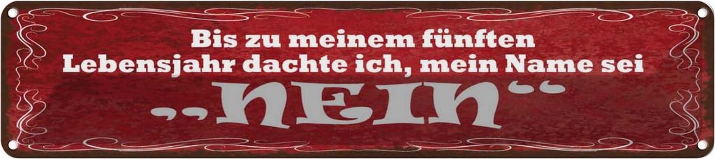 Blechschild 10x46 cm Ich dachte mein Name sei NEIN Spruch Zitat