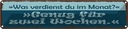 Blechschild 10x46 cm Was verdienst genug für 2 Wochen Spruch Zitat