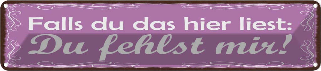 Blechschild 10x46 cm Falls du das liest fehlst mir Spruch Zitat