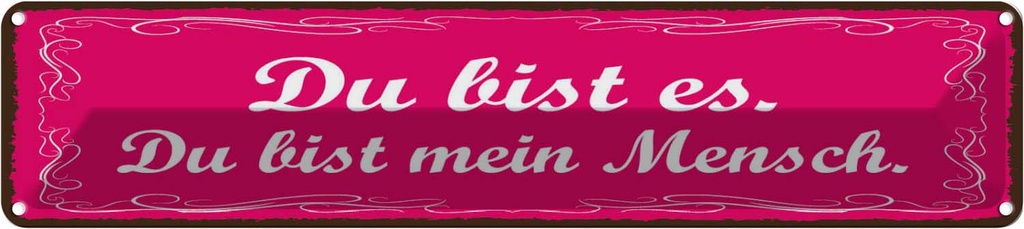 Blechschild 10x46 cm Du bist es mein Mensch Spruch Zitat