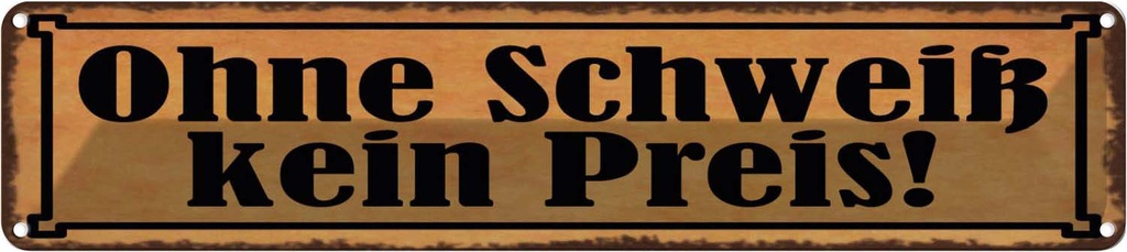 Blechschild 10x46 cm Ohne Schweiß kein Preis Spruch Zitat