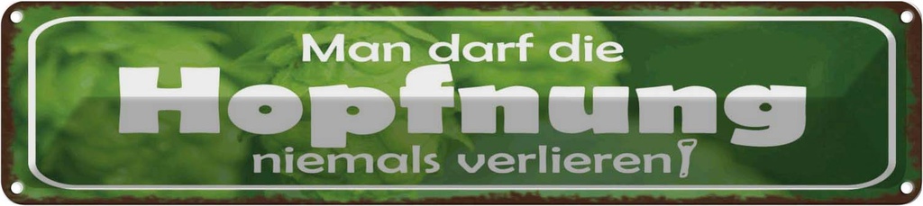 Blechschild 10x46 cm Darf Hopfnung niemals verlieren Spruch Zitat