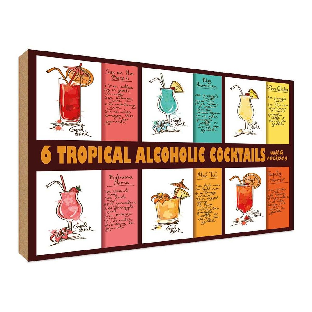 Holzschild 30x40 cm 6 tropical cocktails recipes Essen Trinken