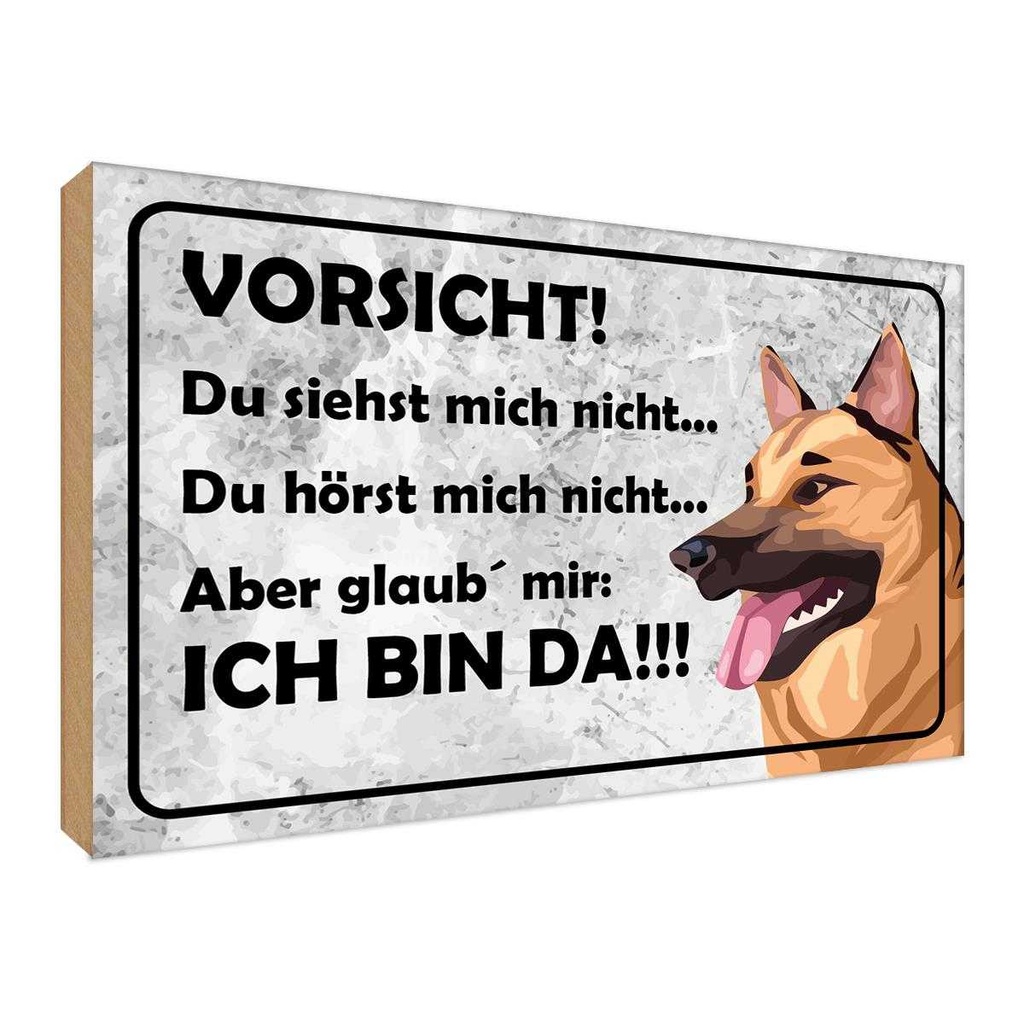 Holzschild 30x40 cm Vorsicht Hund Du siehst mich nicht Warnschild Hinweisschild