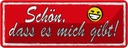 Blechschild 10x27 cm Schön, dass es mich gibt Dekoration Spruch Zitat