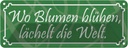 Blechschild 10x27 cm Wo Blumen blühen lächelt Dekoration