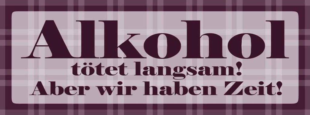 Holzschild 10x27 cm Alkohol tötet langsam haben Zeit